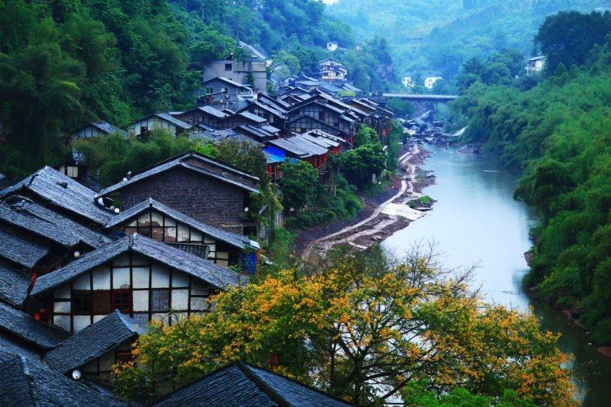 出差的浙江医生机场救人 他却遗憾“如果大家会这个就好了”